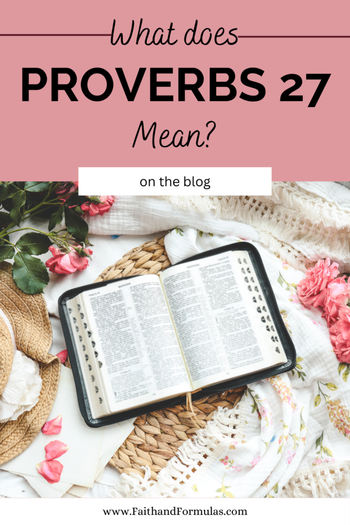 What does proverbs 27 mean?