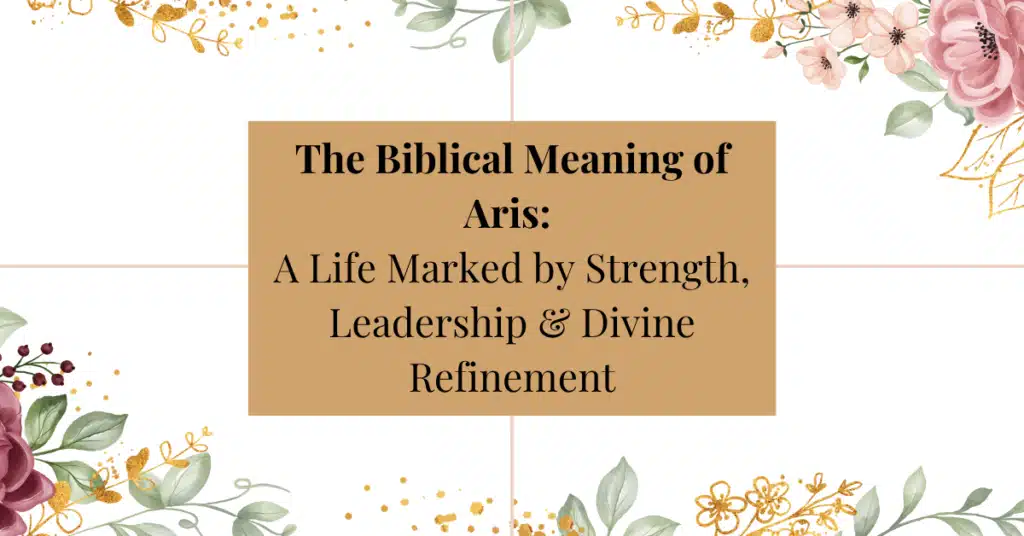 Biblical meaning of the name aris