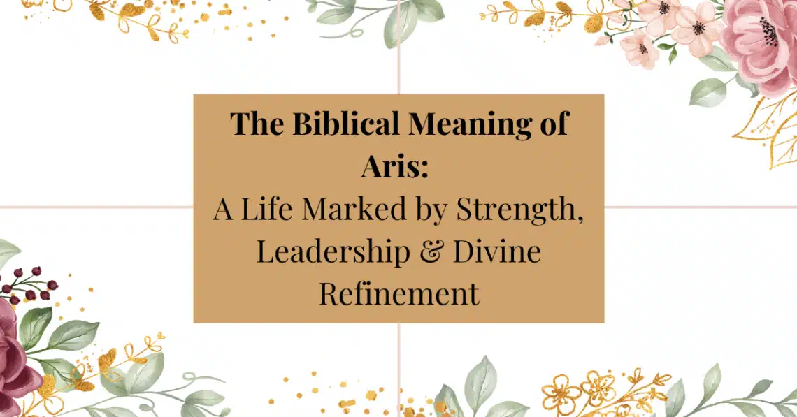 Biblical meaning of the name aris