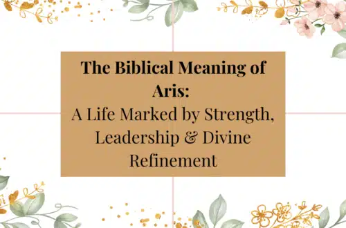 Biblical meaning of the name aris