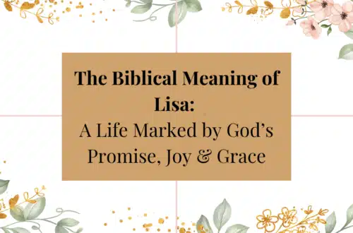 Biblical meaning of the name lisa