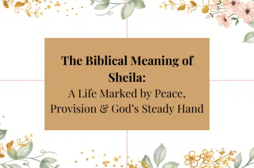 Biblical meaning of the name sheila